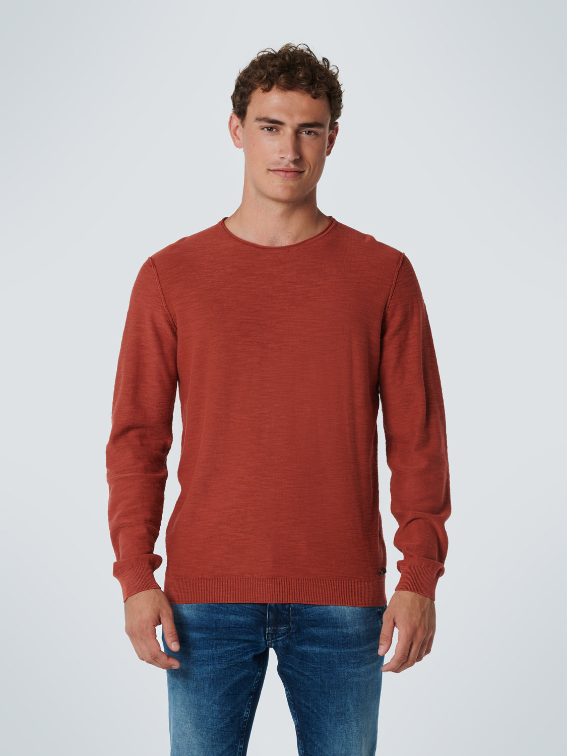 No Excess Brandy Garment Dyed Crewneck Pullover Long sleeve Shirt