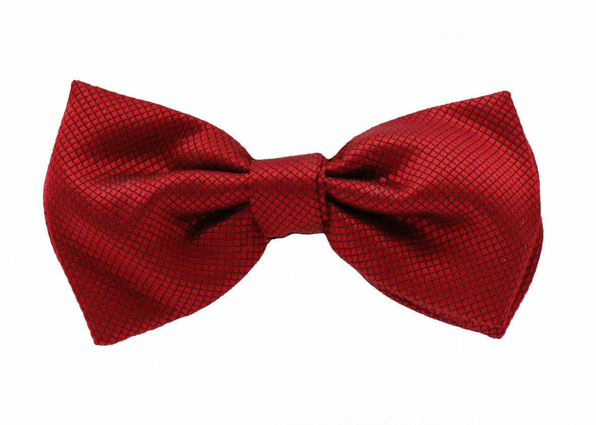Fellini Jacquard Plain bow Tie
