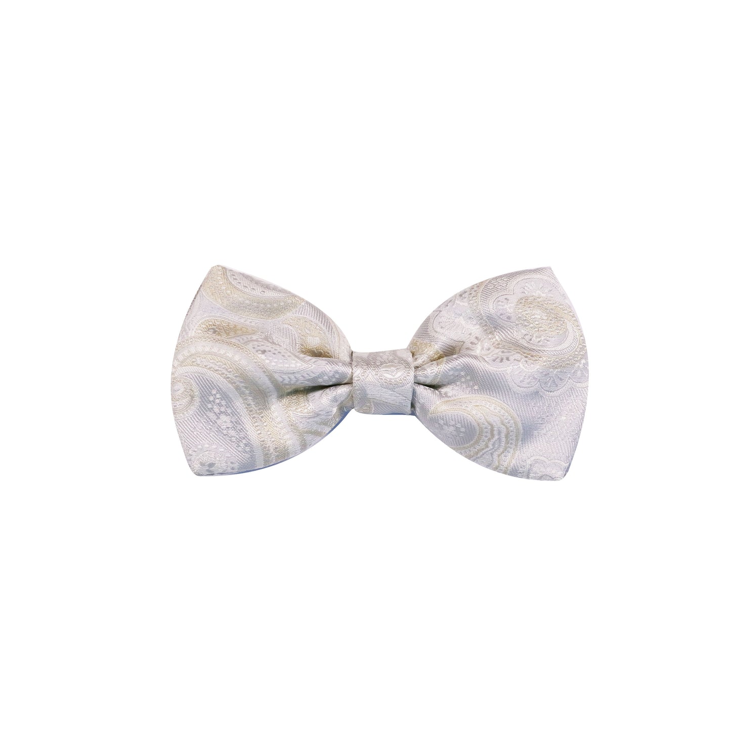 Fellini Luxe Paisley Bow Tie