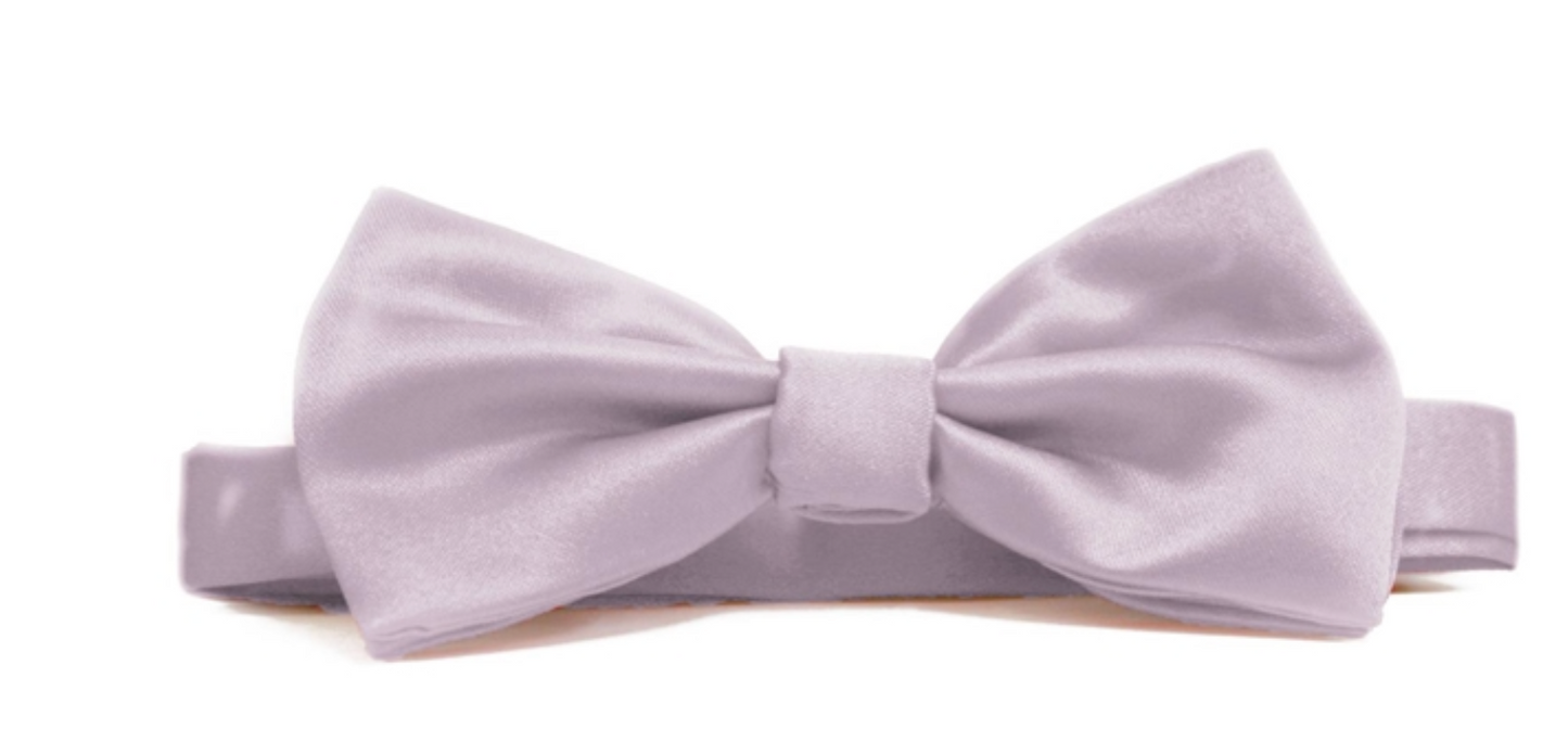 Fellini Trends bow Tie - BW7444